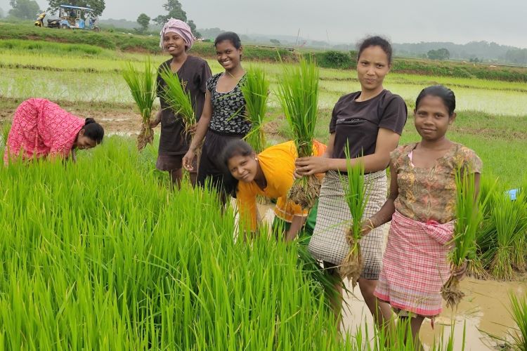 Women Farmers Strengthen Rural Economies With Increased Participation And Leadership